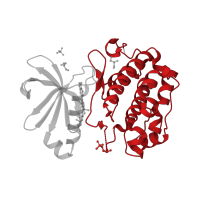 The deposited structure of PDB entry 3qd3 contains 1 copy of CATH domain 1.10.510.10 (Transferase(Phosphotransferase); domain 1) in 3-phosphoinositide-dependent protein kinase 1. Showing 1 copy in chain A.