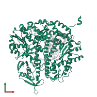 DNA-directed DNA polymerase in PDB entry 3qep, assembly 1, front view.