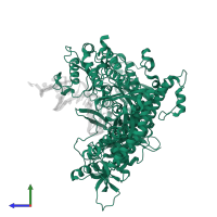DNA-directed DNA polymerase in PDB entry 3qep, assembly 1, side view.
