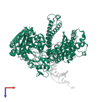 DNA-directed DNA polymerase in PDB entry 3qep, assembly 1, top view.