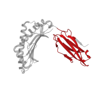 The deposited structure of PDB entry 3qeq contains 1 copy of CATH domain 2.60.40.10 (Immunoglobulin-like) in HLA class I histocompatibility antigen, A alpha chain. Showing 1 copy in chain A.