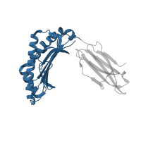 The deposited structure of PDB entry 3qeq contains 1 copy of CATH domain 3.30.500.10 (Murine Class I Major Histocompatibility Complex, H2-DB; Chain A, domain 1) in HLA class I histocompatibility antigen, A alpha chain. Showing 1 copy in chain A.