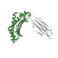 The deposited structure of PDB entry 3qeq contains 1 copy of Pfam domain PF00129 (Class I Histocompatibility antigen, domains alpha 1 and 2) in HLA class I histocompatibility antigen, A alpha chain. Showing 1 copy in chain A.