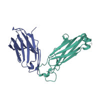 The deposited structure of PDB entry 3qeq contains 2 copies of CATH domain 2.60.40.10 (Immunoglobulin-like) in DMF4 beta chain. Showing 2 copies in chain E.