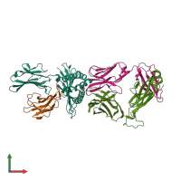 PDB entry 3qeq coloured by chain, front view.