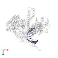 DNA (5'-D(*GP*CP*GP*GP*AP*CP*TP*GP*CP*TP*TP*AP*(DOC))-3') in PDB entry 3qer, assembly 1, top view.