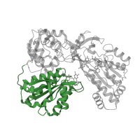 The deposited structure of PDB entry 3qfr contains 2 copies of CATH domain 3.40.50.360 (Rossmann fold) in NADPH--cytochrome P450 reductase. Showing 1 copy in chain A.