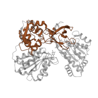 The deposited structure of PDB entry 3qfr contains 2 copies of Pfam domain PF00667 (FAD binding domain) in NADPH--cytochrome P450 reductase. Showing 1 copy in chain A.