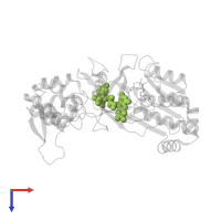 FLAVIN-ADENINE DINUCLEOTIDE in PDB entry 3qft, assembly 1, top view.