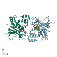 PDB entry 3qfx coloured by chain, front view.