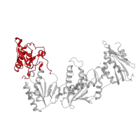 The deposited structure of PDB entry 3qip contains 1 copy of CATH domain 3.10.10.10 (HIV Type 1 Reverse Transcriptase; Chain A, domain 1) in Reverse transcriptase/ribonuclease H. Showing 1 copy in chain A.