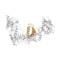 The deposited structure of PDB entry 3qip contains 1 copy of Pfam domain PF06817 (Reverse transcriptase thumb domain) in Reverse transcriptase/ribonuclease H. Showing 1 copy in chain A.