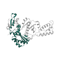 The deposited structure of PDB entry 3qip contains 1 copy of Pfam domain PF00078 (Reverse transcriptase (RNA-dependent DNA polymerase)) in p51 RT. Showing 1 copy in chain B.