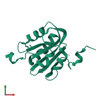 Large T antigen in PDB entry 3qk2, assembly 1, front view.