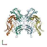 PDB entry 3qny coloured by chain, front view.