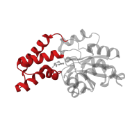 The deposited structure of PDB entry 3quq contains 1 copy of CATH domain 1.10.150.240 (DNA polymerase; domain 1) in Beta-phosphoglucomutase. Showing 1 copy in chain A.