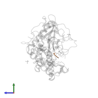 inhibitory peptide CRGC in PDB entry 3qw8, assembly 1, side view.
