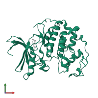 Cyclin-dependent kinase 2 in PDB entry 3qwj, assembly 1, front view.