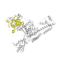 The deposited structure of PDB entry 3qx3 contains 2 copies of Pfam domain PF01751 (Toprim domain) in DNA topoisomerase 2-beta. Showing 1 copy in chain A.