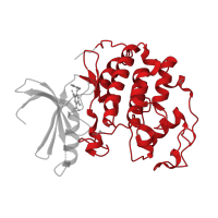 The deposited structure of PDB entry 3qx4 contains 1 copy of CATH domain 1.10.510.10 (Transferase(Phosphotransferase); domain 1) in Cyclin-dependent kinase 2. Showing 1 copy in chain A.