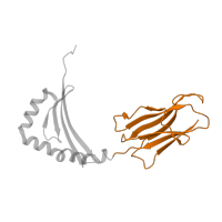 The deposited structure of PDB entry 3qxa contains 2 copies of CATH domain 2.60.40.10 (Immunoglobulin-like) in HLA class II histocompatibility antigen, DRB1 beta chain. Showing 1 copy in chain B.