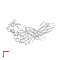 Class-II-associated invariant chain peptide in PDB entry 3qxd, assembly 1, top view.