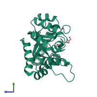 PDB entry 3qy8 coloured by chain, side view.