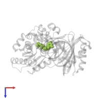 2'-DEOXYCYTIDINE-5'-TRIPHOSPHATE in PDB entry 3qz8, assembly 1, top view.