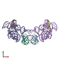 PDB entry 3r1l coloured by chain, front view.