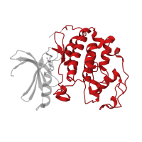 The deposited structure of PDB entry 3r1q contains 1 copy of CATH domain 1.10.510.10 (Transferase(Phosphotransferase); domain 1) in Cyclin-dependent kinase 2. Showing 1 copy in chain A.