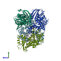 PDB entry 3r1x coloured by chain, side view.