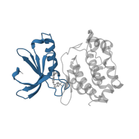 The deposited structure of PDB entry 3r22 contains 1 copy of CATH domain 3.30.200.20 (Phosphorylase Kinase; domain 1) in Aurora kinase A. Showing 1 copy in chain A.