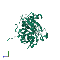 MAP kinase-activated protein kinase 2 in PDB entry 3r2y, assembly 1, side view.