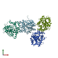 PDB entry 3r3z coloured by chain, front view.