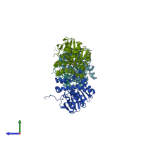 PDB entry 3r3z coloured by chain, side view.