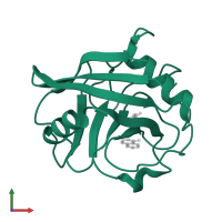 Peptidyl-prolyl cis-trans isomerase F, mitochondrial in PDB entry 3r49, assembly 1, front view.