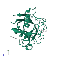 Peptidyl-prolyl cis-trans isomerase F, mitochondrial in PDB entry 3r49, assembly 1, side view.