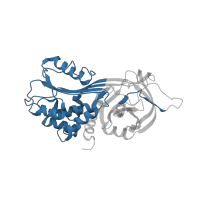 The deposited structure of PDB entry 3r4l contains 1 copy of CATH domain 3.30.497.10 (Antithrombin; Chain I, domain 2) in Plasminogen activator inhibitor 1. Showing 1 copy in chain A.