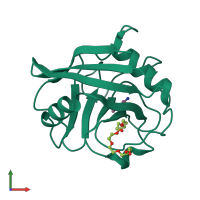PDB entry 3r56 coloured by chain, front view.