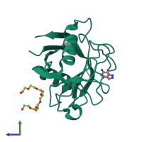 PDB entry 3r56 coloured by chain, side view.