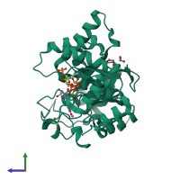 PDB entry 3r58 coloured by chain, side view.