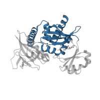 The deposited structure of PDB entry 3r5f contains 1 copy of CATH domain 3.30.470.20 (D-amino Acid Aminotransferase; Chain A, domain 1) in D-alanine--D-alanine ligase. Showing 1 copy in chain A.