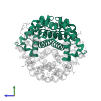 Hemoglobin subunit alpha in PDB entry 3r5i, assembly 1, side view.