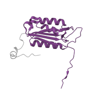 The deposited structure of PDB entry 3r6g contains 2 copies of Pfam domain PF00656 (Caspase domain) in Caspase-2 subunit p18. Showing 1 copy in chain C.