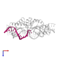 DNA (5'-D(*CP*AP*AP*AP*TP*GP*CP*TP*CP*CP*TP*AP*TP*AP*C)-3') in PDB entry 3r7p, assembly 1, top view.