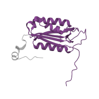 The deposited structure of PDB entry 3r7s contains 2 copies of Pfam domain PF00656 (Caspase domain) in Caspase-2 subunit p18. Showing 1 copy in chain A.