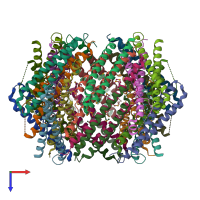 PDB entry 3r84 coloured by chain, top view.