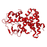 The deposited structure of PDB entry 3r8d contains 1 copy of CATH domain 1.10.565.10 (Retinoid X Receptor) in Nuclear receptor subfamily 1 group I member 2. Showing 1 copy in chain A.