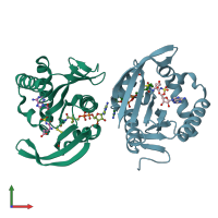 PDB entry 3r9f coloured by chain, front view.