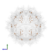 DNA (5'-D(P*CP*A)-3') in PDB entry 3ra9, assembly 1, side view.